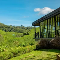 shutterstock_2262406293